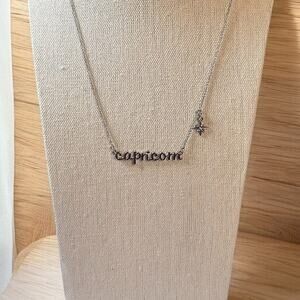 Capricorn Zodiac Sign Necklace Silver Tone 19"